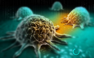 A Cancer Cell That Is Being Targeted By Taxotere