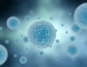 Cells Undergoing Abnormal Growth Caused By Cancer That Are Being Targeted By Taxotere
